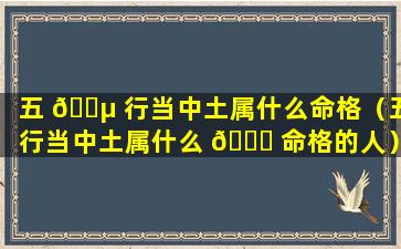五 🐵 行当中土属什么命格（五行当中土属什么 🐝 命格的人）